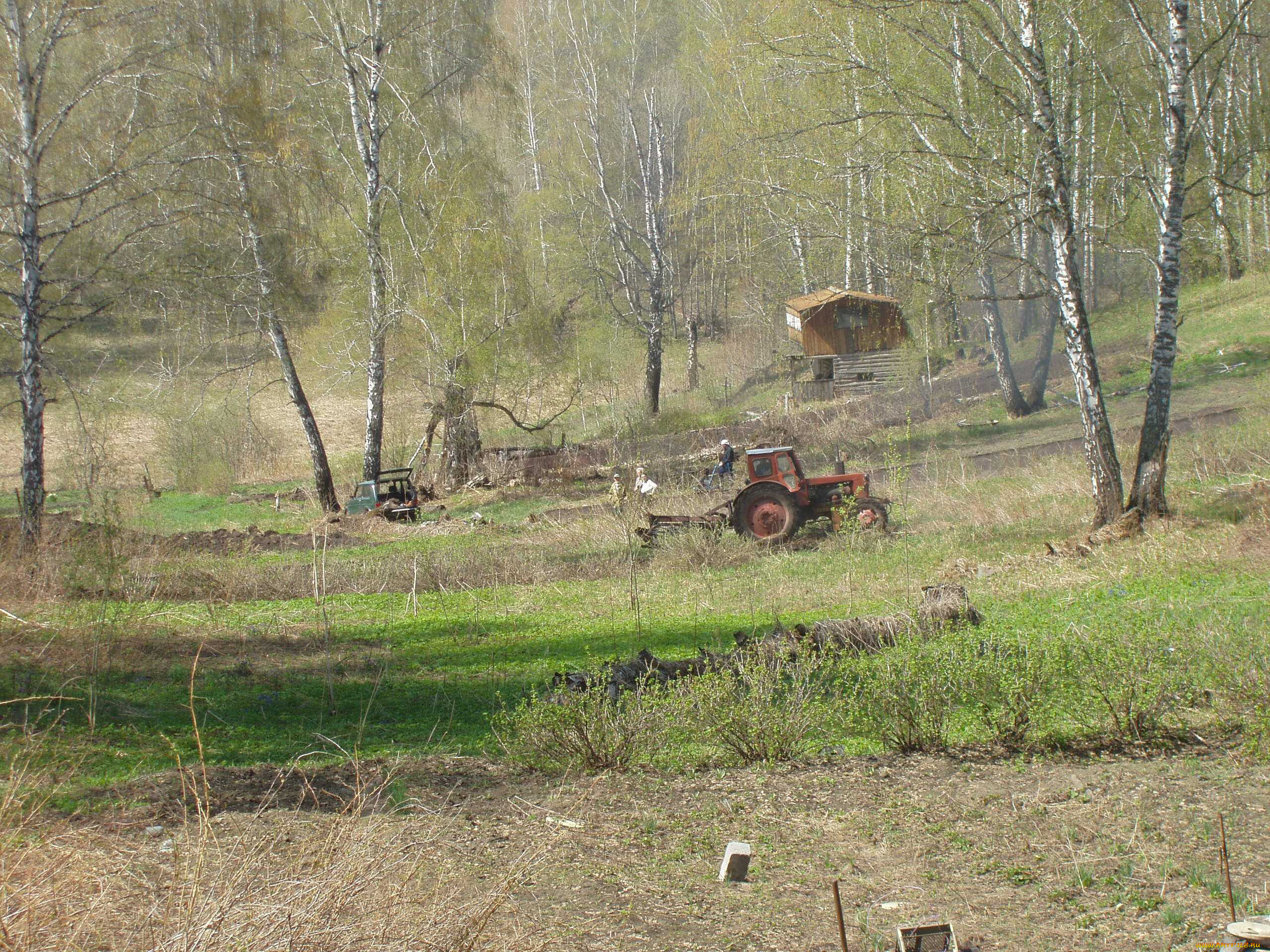 parkowka, 